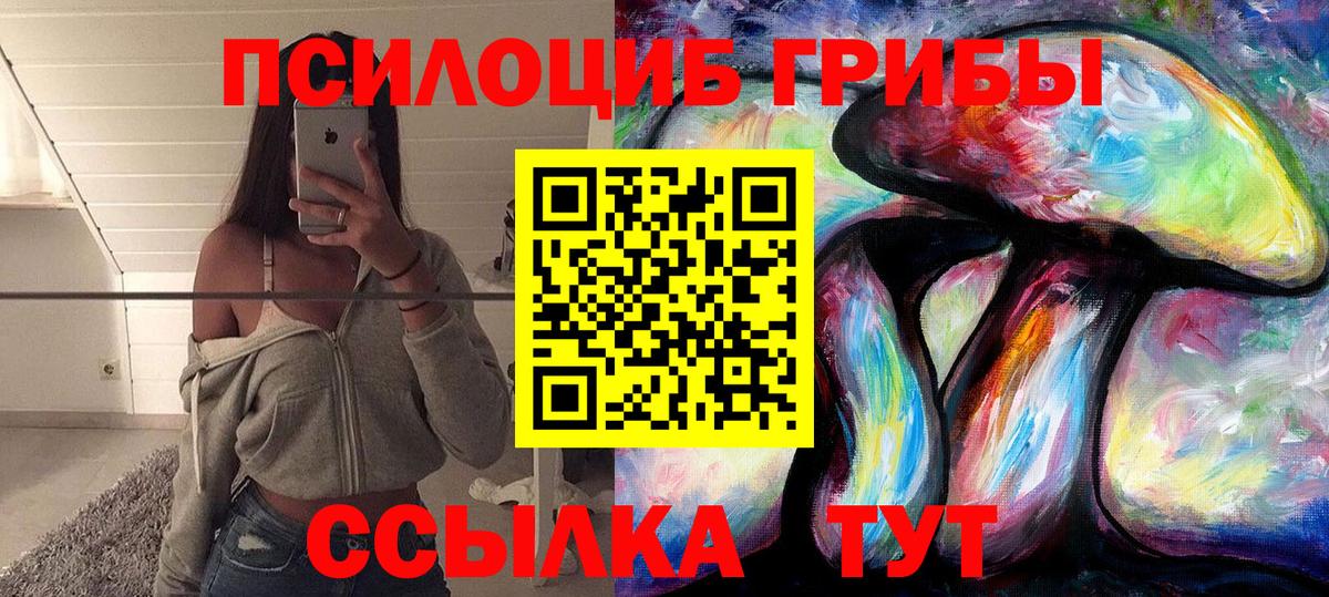 Галлюциногенные грибы Cubensis Тамбов