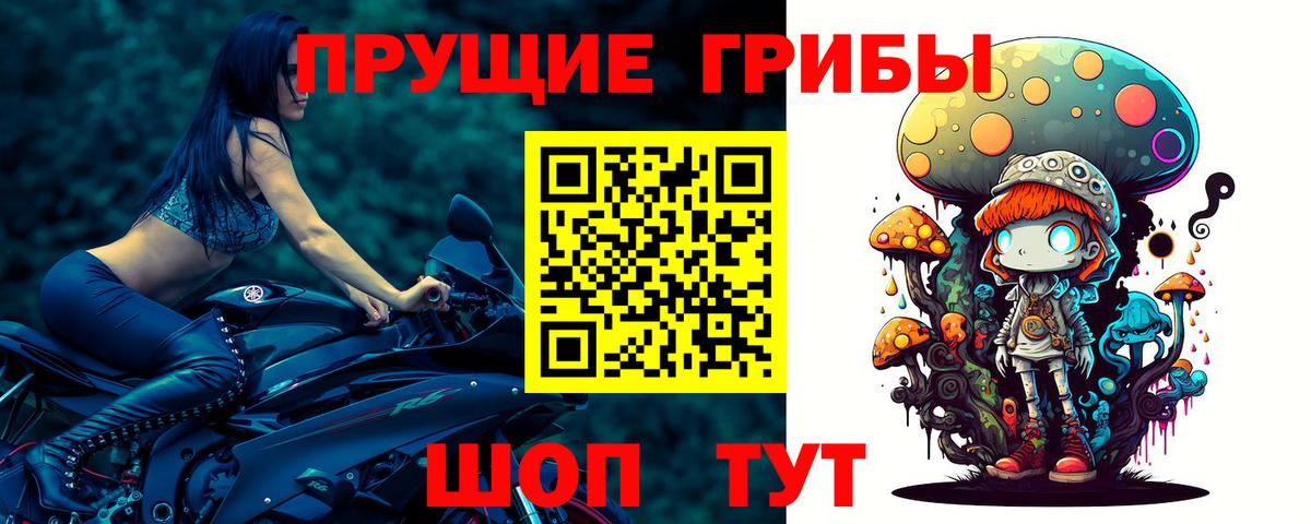 Псилоцибиновые грибы Psilocybe  Вход с VPN  Тамбов 